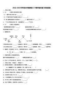 2022-2023学年铁岭市银州区三下数学期末复习检测试题含解析