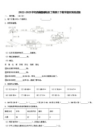 2022-2023学年西藏昌都地区丁青县三下数学期末预测试题含解析