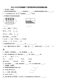 2022-2023学年西畴县三下数学期末教学质量检测模拟试题含解析