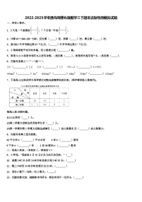 2022-2023学年西乌珠穆沁旗数学三下期末达标检测模拟试题含解析