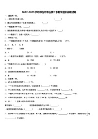 2022-2023学年邢台市邢台县三下数学期末调研试题含解析