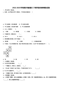 2022-2023学年雅安市雨城区三下数学期末调研模拟试题含解析