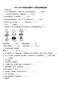 2022-2023学年银川市数学三下期末统考模拟试题含解析