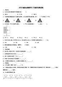 2023届含山县数学三下期末经典试题含解析