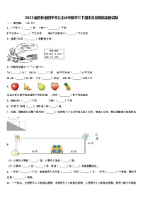 2023届吉林省四平市公主岭市数学三下期末质量跟踪监视试题含解析