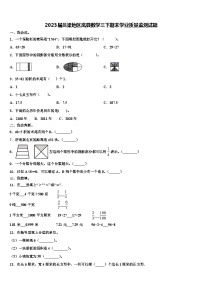 2023届吕梁地区岚县数学三下期末学业质量监测试题含解析