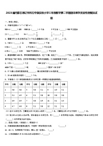 2023届内蒙古通辽市科左中旗实验小学三年级数学第二学期期末教学质量检测模拟试题含解析