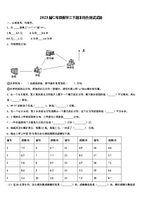 2023届仁布县数学三下期末综合测试试题含解析