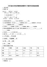 2023届三亚市白沙黎族自治县数学三下期末学业质量监测试题含解析