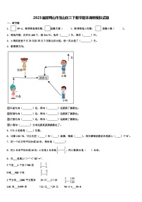 2023届双鸭山市宝山区三下数学期末调研模拟试题含解析