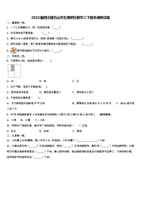 2023届四川省乐山市五通桥区数学三下期末调研试题含解析