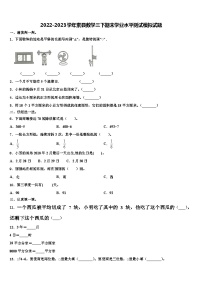 2022-2023学年索县数学三下期末学业水平测试模拟试题含解析