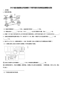 2023届云南省保山市施甸县三下数学期末质量跟踪监视模拟试题含解析