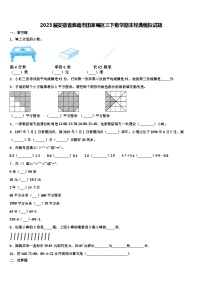 2023届安徽省淮南市田家庵区三下数学期末经典模拟试题含解析