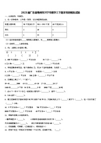 2023届广东省梅州市兴宁市数学三下期末检测模拟试题含解析