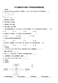 2023届廊坊市大城县三下数学期末联考模拟试题含解析