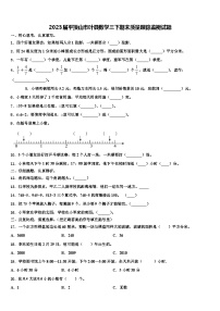 2023届平顶山市叶县数学三下期末质量跟踪监视试题含解析