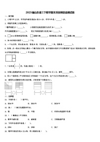 2023届山东省三下数学期末质量跟踪监视试题含解析