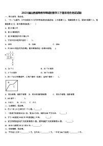 2023届山西省朔州市朔城区数学三下期末综合测试试题含解析