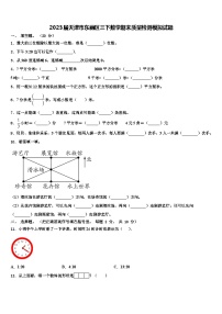 2023届天津市东丽区三下数学期末质量检测模拟试题含解析