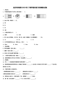 龙岩市连城县2023年三下数学期末复习检测模拟试题含解析