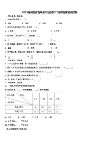 2023届河北省石家庄市元氏县三下数学期末监测试题含解析