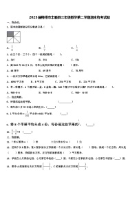 2023届梅州市丰顺县三年级数学第二学期期末统考试题含解析