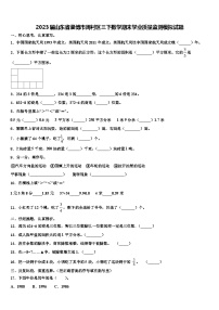 2023届山东省淄博市周村区三下数学期末学业质量监测模拟试题含解析