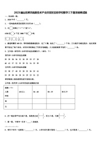 2023届山东潍坊高新技术产业开发区实验学校数学三下期末调研试题含解析