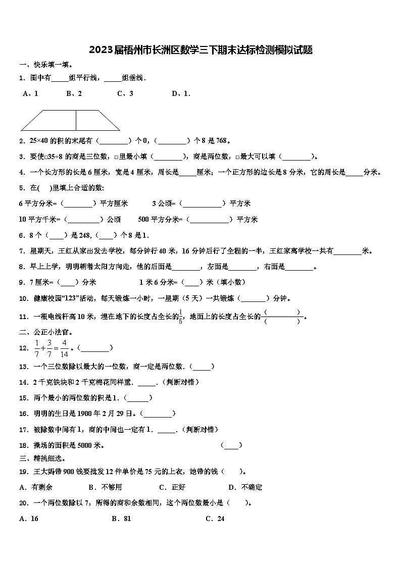 2023届梧州市长洲区数学三下期末达标检测模拟试题含解析01