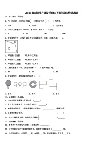 2023届新疆生产建设兵团三下数学期末检测试题含解析