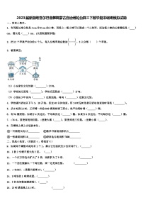 2023届新疆维吾尔巴音郭楞蒙古自治州轮台县三下数学期末调研模拟试题含解析