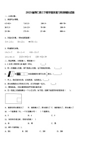 2023届昂仁县三下数学期末复习检测模拟试题含解析