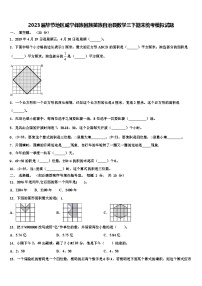 2023届毕节地区威宁彝族回族苗族自治县数学三下期末统考模拟试题含解析