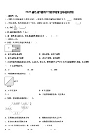 2023届沧州市青县三下数学期末统考模拟试题含解析