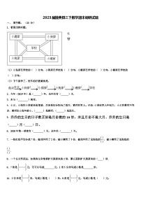 2023届措美县三下数学期末调研试题含解析