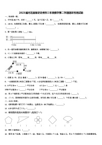 2023届河北省保定定州市三年级数学第二学期期末检测试题含解析