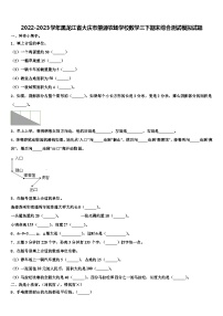 2022-2023学年黑龙江省大庆市肇源农场学校数学三下期末综合测试模拟试题含解析