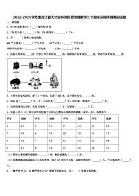 2022-2023学年黑龙江省大兴安岭地区塔河县数学三下期末达标检测模拟试题含解析