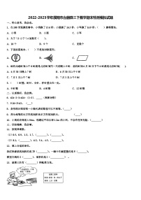 2022-2023学年濮阳市台前县三下数学期末检测模拟试题含解析