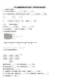 2023届福建省泉州市石狮市三下数学期末监测试题含解析