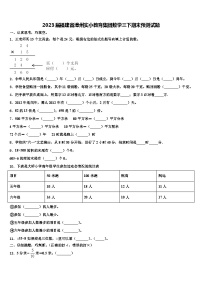 2023届福建省漳州实小教育集团数学三下期末预测试题含解析