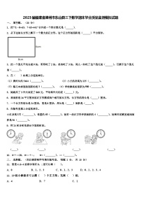 2023届福建省漳州市东山县三下数学期末学业质量监测模拟试题含解析