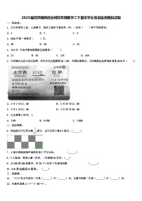 2023届甘孜藏族自治州甘孜县数学三下期末学业质量监测模拟试题含解析