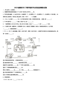 2023届海伦市三下数学期末学业质量监测模拟试题含解析