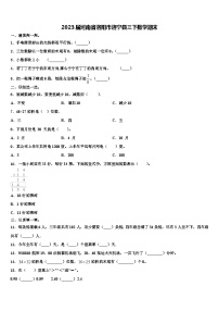 2023届河南省洛阳市洛宁县三下数学期末含解析