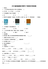 2023届河南省商丘市数学三下期末复习检测试题含解析