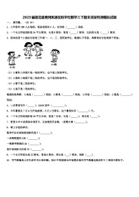 2023届湖北省黄冈思源实验学校数学三下期末质量检测模拟试题含解析