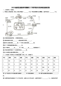 2023届湖北省随州市曾都区三下数学期末质量跟踪监视试题含解析