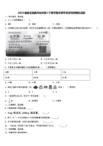 2023届湖北宜昌市远安县三下数学期末教学质量检测模拟试题含解析